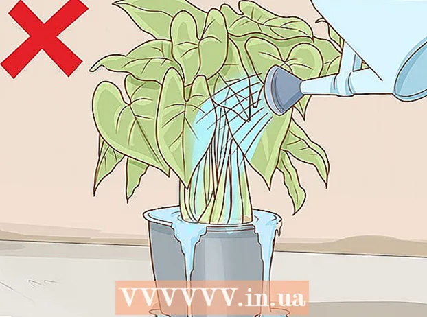 Ako sa zbaviť múčnatky na rastlinách