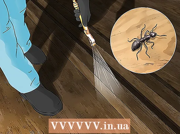 Пазбаўцеся ад мурашак у доме