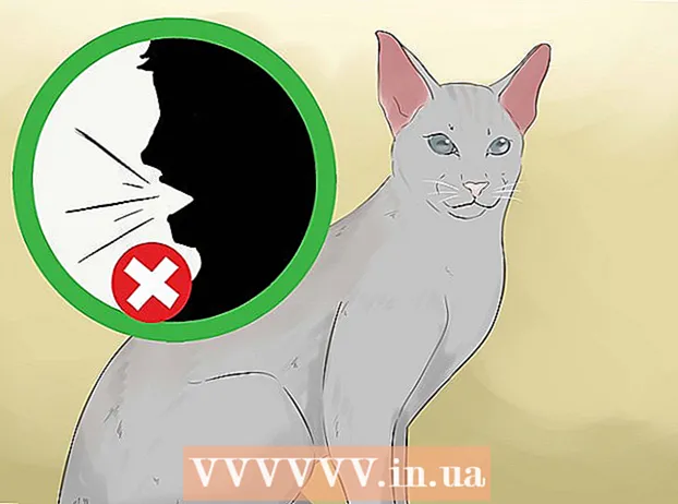 Вызначэнне, калі ваша кошка сляпая