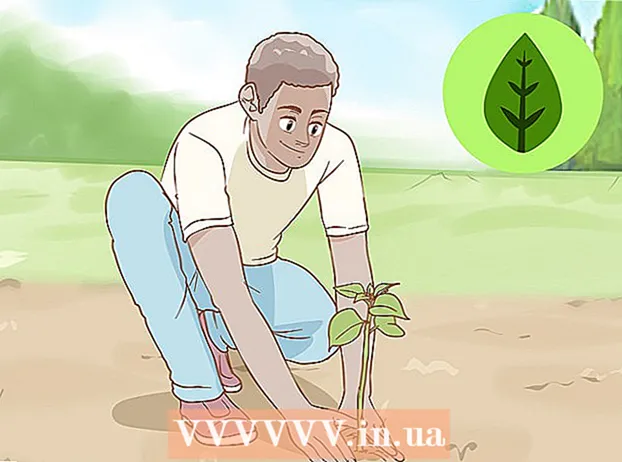 Rozmnožujte popínavé rastliny
