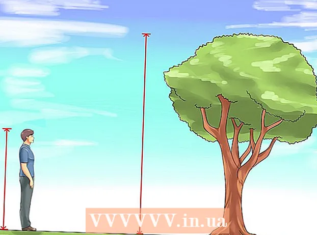 Bestemmelse af højden på et træ