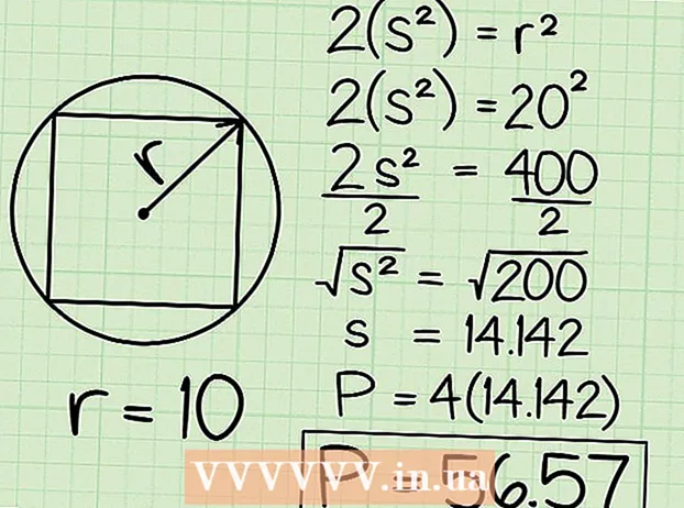 Calcola il perimetro di un quadrato