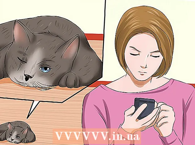 Recանաչեք կատուների չարաշահման նշանները