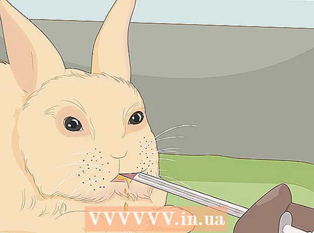 Starostlivosť o trpasličie králiky