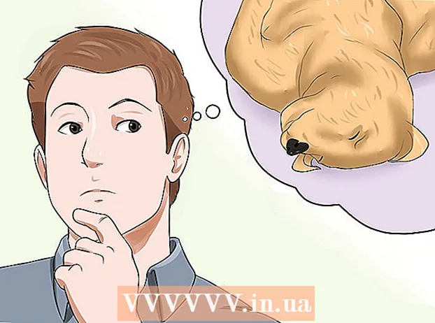 Riconoscere un ictus nei cani