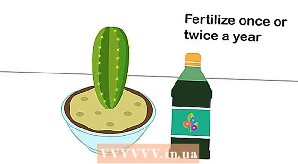 Gojenje kaktusa doma