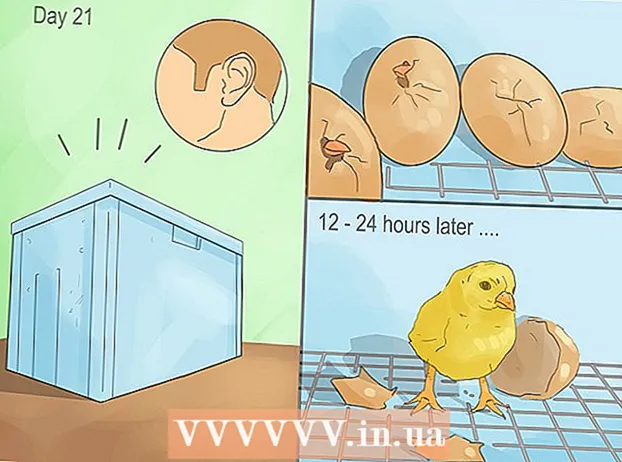 Lav en simpel yngelkasse til kyllinger