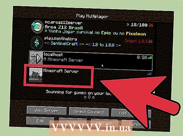 Installieren Sie Ihren eigenen Minecraft-Server