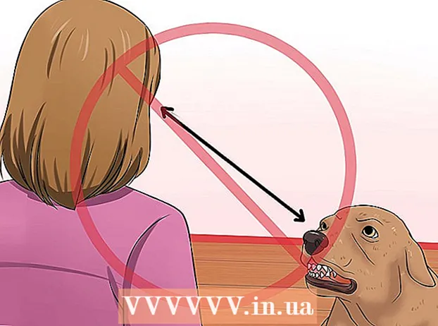 Hvordan stoppe en hund fra å bite