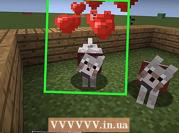 How to tame and breed a dog in Minecraft