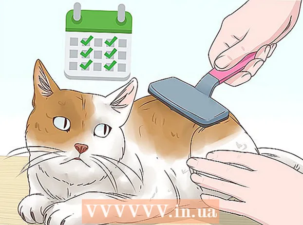 Hjälper en katt att hosta upp en hårboll