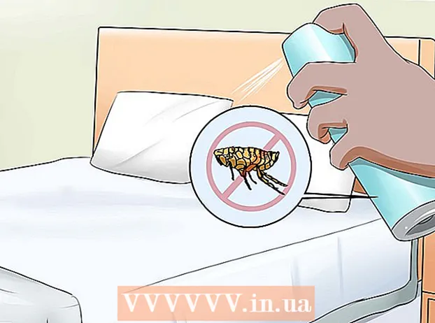 Controlar a un gato en busca de pulgas