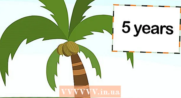 Uzgoj kokosove palme