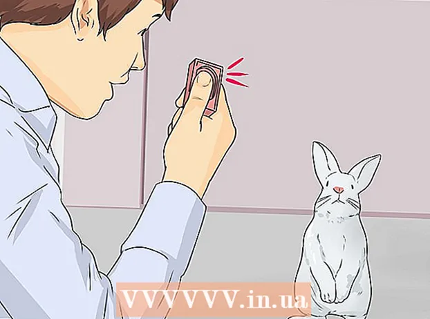 Teach a rabbit to come when you call him