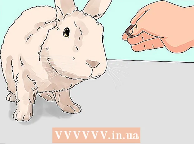 Løfter en kanin