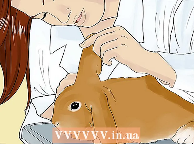 Pielęgnacja królika