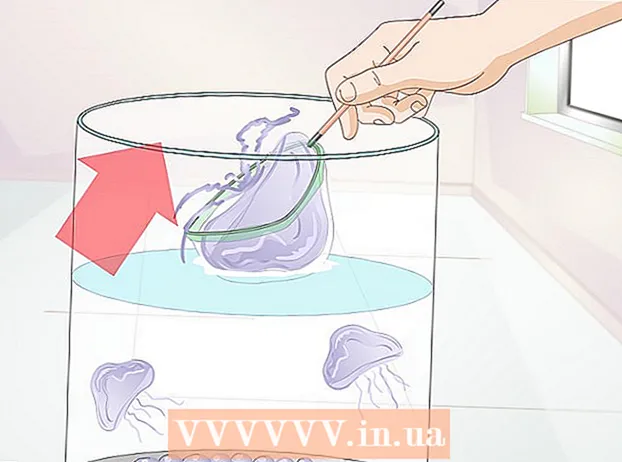 Оғоз кардани аквариуми медуза