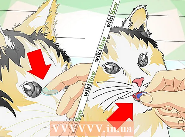 Tratar una infección ocular en un gato