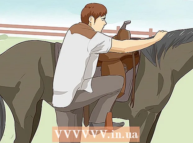 Arklio mokymas