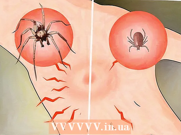 クモ刺咬症の特定