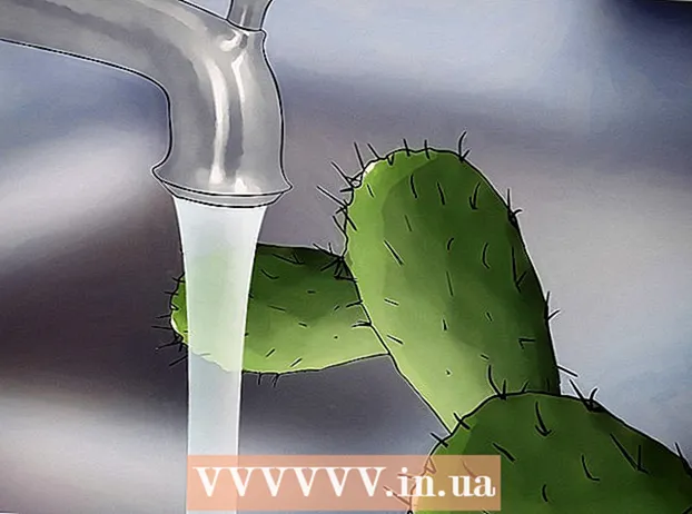 Salva un cactus moribundo
