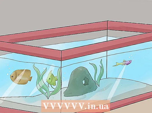 उष्णकटिबंधीय गोड्या पाण्यातील मत्स्यालय तयार करीत आहे