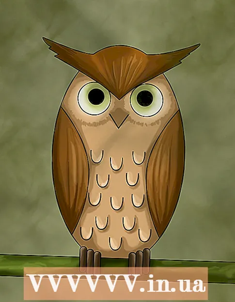 Draw an owl