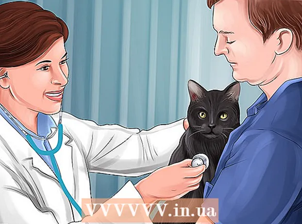 Behandlung einer vergifteten Katze