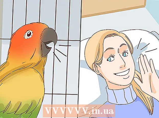 घर में एक पक्षी को शांत रहने दें