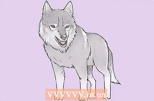 Zeichne einen Wolf