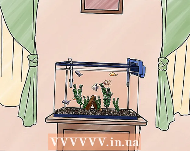 Installazione di un acquario d'acqua dolce