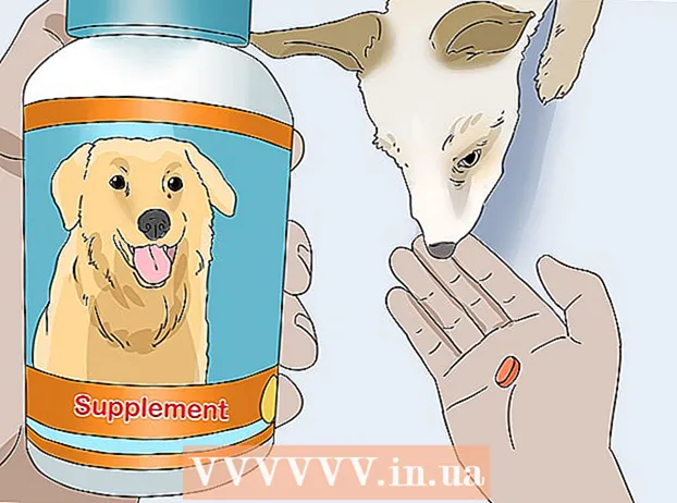 کتوں میں folliculitis کا علاج
