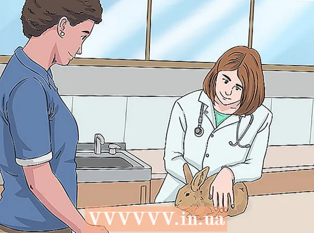 Determinarea sexului unui iepure