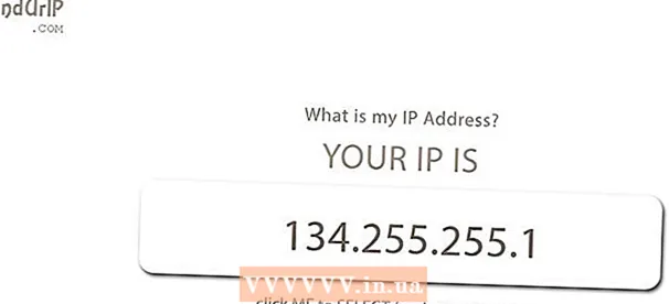 Slå upp IP-adressen till din PC eller Mac