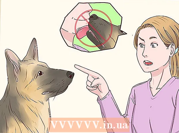 Verhindern Sie, dass Hunde lecken
