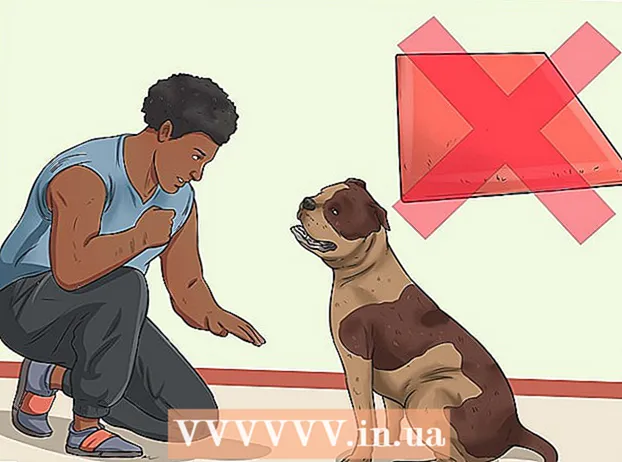 At give din store hund et bad