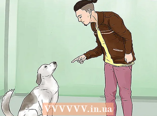 Naj vaš pes preneha lajati na tujce