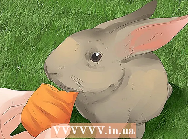 Memahami kelinci Anda