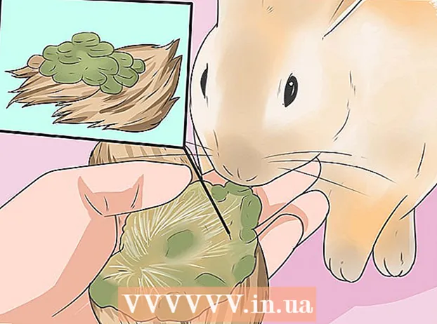 Mata din kanin med rätt grön mat