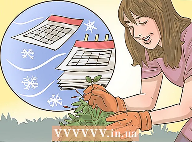 修剪你的胡椒植物