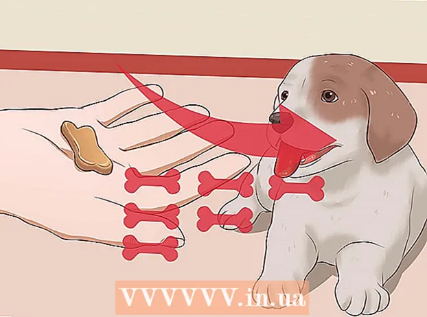Se puede bañar a un cachorro sin vacunas