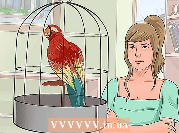 Išmokyk savo paukštį kalbėti