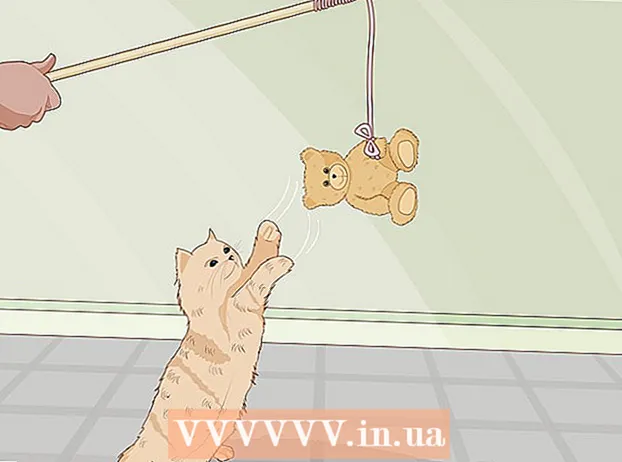 Herstellung von Katzenspielzeug aus üblichen Haushaltsgegenständen