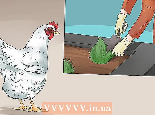 Hühner fernhalten
