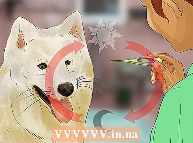 Trattare la febbre nei cani