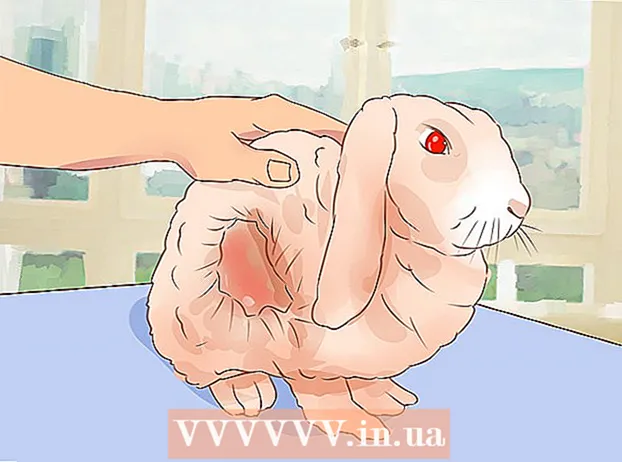 Trattare con un coniglio malato