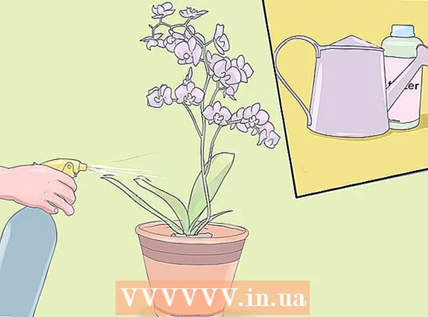 Догляд за міні-орхідеями