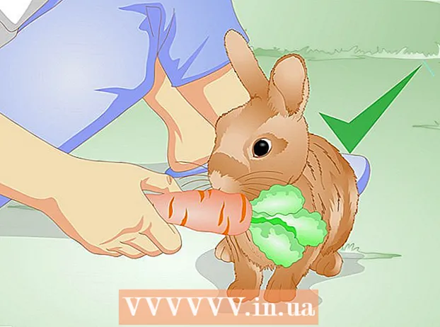 Find out if your rabbit is lonely