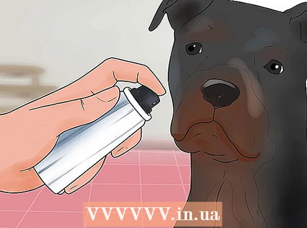 Reduzir a eliminação excessiva em cães