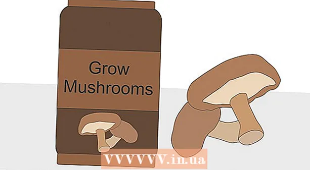 Coltivazione di funghi al chiuso